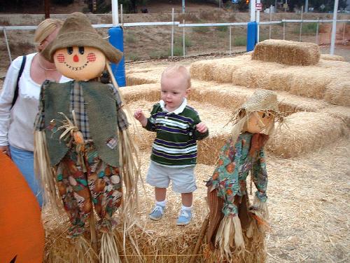 which one is most likely to scare the crows.jpg 49.6K